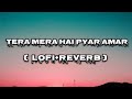 Tera Mera Hai Pyaar amar - Lyrics (lofi+reverb)  | Ishq mushid |