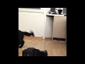 Autonomous robot