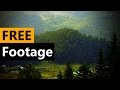 Rain in forest with sound FREE Stock Video Footage [Download Full HD]