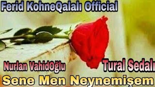 Sənə Mən Neynəmişəm Polnu Kayfa Aparan Mahnı
