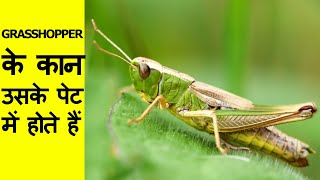 Most Amazing Facts in Hindi | Interesting and Unknown Facts about Life, Science of the world