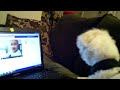 McGee watching baby c on facebook