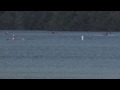 Womens Open Double-Nelson Rowing Club Regatta 4/11/12