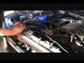 acura vigor oil change plus updates