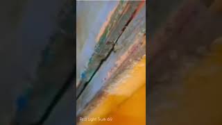 Kolkata Red Light Area Video Dont Mis