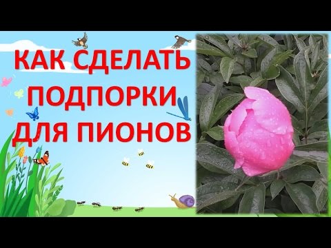 Как сделать поддержку для пионов Как сделать поддержку для пионов