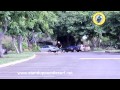 Boosted Boards Electric Longboard Skateboard - The lightest electric vehicle "almost" available