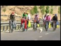 Stray dog runs to Tibet with Chinese cyclists