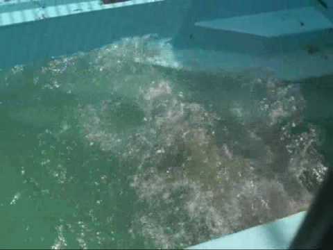 イコキロの水中レスリング