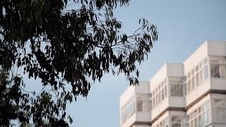 Providing Holistic Care