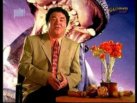 Jó vicc volt Jó vicc volt