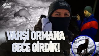 Fero Babayla Orman Kanunları 2 Gece Ormana Girdik Kurt Görüntüledi̇m