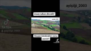 Şamil Quliyev Dəşti Muğamı