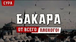 Сура Аль Бакара Защита Вас И Вашего Дома От Всего Плохого, Слушайте Каждый День.