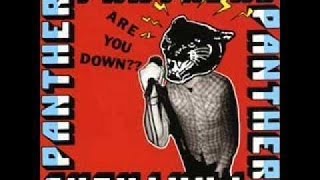 Watch Panthers Are You Down video