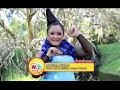 Rangda Pindo Nunung Alvi Organ Tarling Dangdut Dermayonan Cirebonan images Rangda Pindo Nunung Alvi Organ Tarling Dangdut Dermayonan Cirebonan