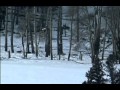 Lobos, El Campo de Batalla