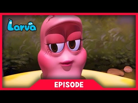 LARVA - INTERNATIONAL WOMENS DAY SPECIAL| Cartoon Movie | Cartoons For Children | LARVA Official