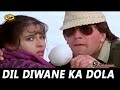 Dil Deewane Ka Dola Dildar (SONIC Jhankar)