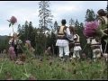 Steluta Floristean - Zii scripcare bine!