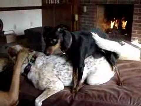 Lola and Coco - Girls Gone casey anthony crime scene photos unblurred. Lola and Coco - Girls Gone