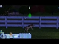 Let's Play The Sims 3 Life As A Stray! Part 2!