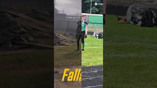 Fallout Ai Edit
