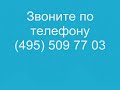 рождена 25 ноября 2009 года 