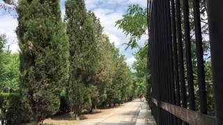 Видео Евпатория - улица Полупанова Крым 2016 в Евпатории 24.07.2016 города от Moscow Weather, улица Матвеева, Евпатория, Украина