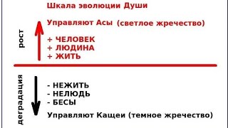 Варны (Касты, Сословия). Зачем Знать Свою Варну. Андрей Верба