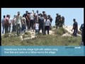 Palestinians