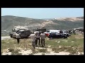 Palestinians