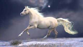 Лошадь Моя, Белая