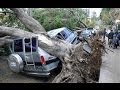 Heavy Storm - 2 injured as Tree Falls on Car