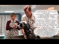 Show Dogs Soundtrack List Show Dogs Soundtrack List
