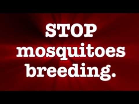 stop mosquitoes