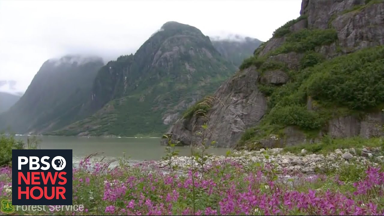 Trump moves to open Tongass National Forest for logging, to environmentalists' dismay