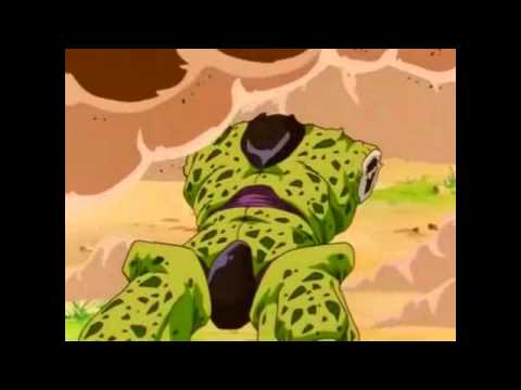 wwwnanchawebnet