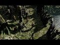 Path Of Exile