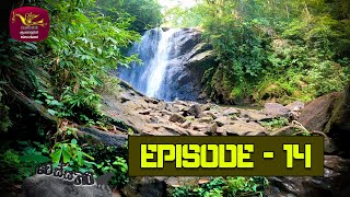 Vessagiri Episode - 14 | 2022-01-28 | Documentary | @Sri Lanka Rupavahini