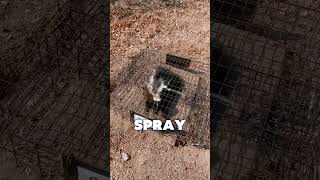 I Got Sprayed By A Skunk