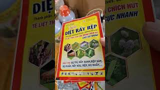 Thuốc Đặc Trị Rầy Xanh Bọ Trĩ Rệp Sáp Bọ Phấn Rầy Nâu Bọ Nhảy