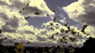 Watch Mercyme Where I Belong video