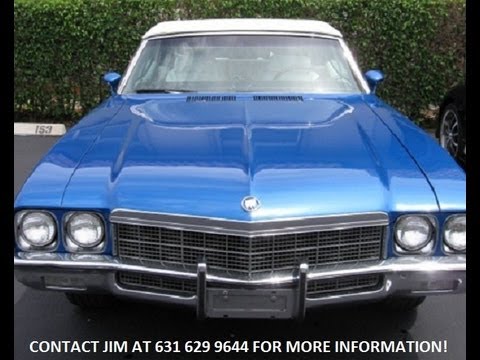 Corporate Event or Wedding Planner 