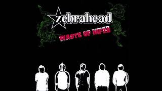 Watch Zebrahead One Less Headache video