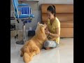 Beautiful Single Mom Feeding And Make Love With Her Dog