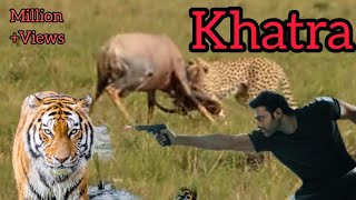 4K Relaxation Video Discovery Channel Animals Channel Video