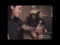 Shinedown Shed Some Light- in my house