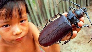 LETRA DE BETI LA FEA letra de beti la fea: