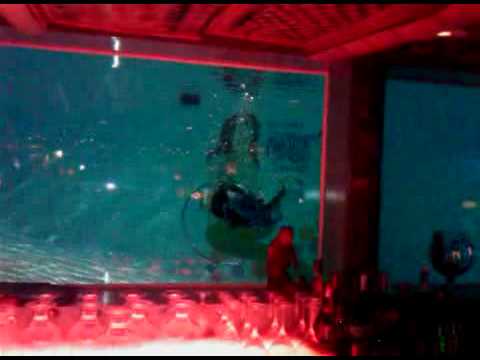 kristen zang bio. Live Mermaids at the Sip amp; Dip